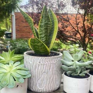 Meet your Posher, Kayley